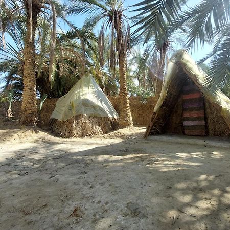 Forest Camp Siwa - كامب الغابة Siwa Oasis Luaran gambar