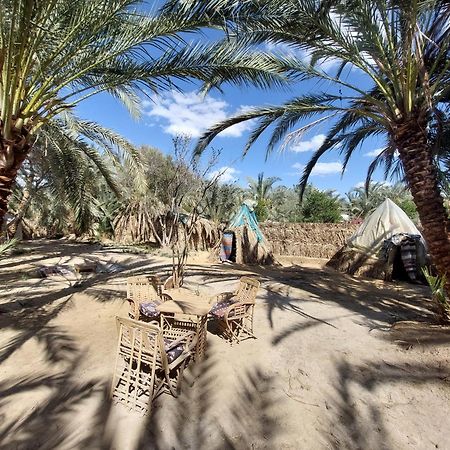 Forest Camp Siwa - كامب الغابة Siwa Oasis Luaran gambar