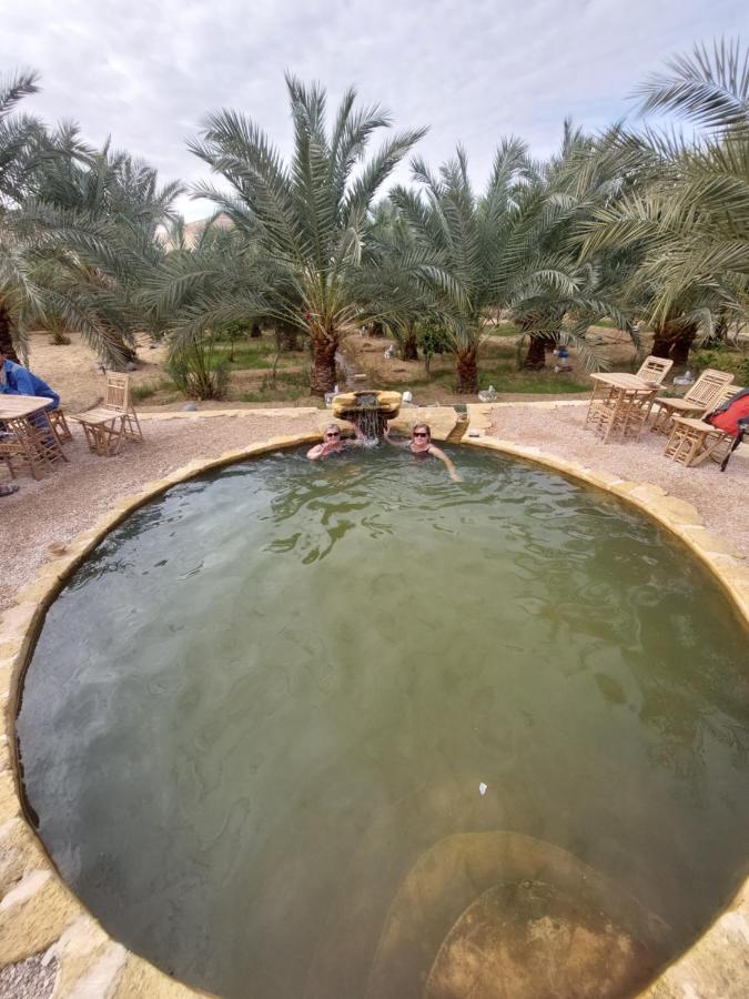 Forest Camp Siwa - كامب الغابة Siwa Oasis Luaran gambar