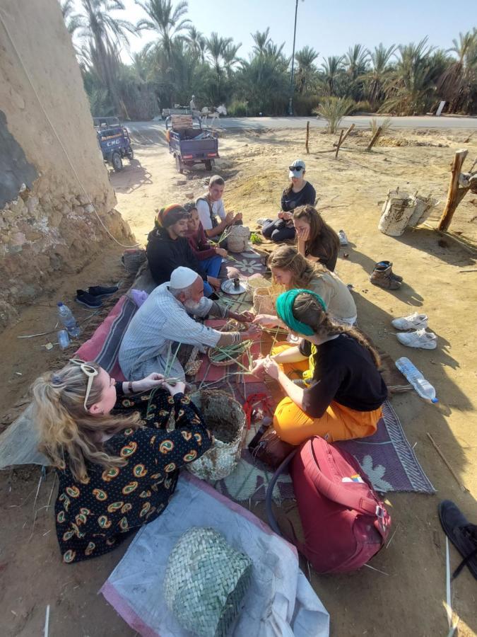 Forest Camp Siwa - كامب الغابة Siwa Oasis Luaran gambar