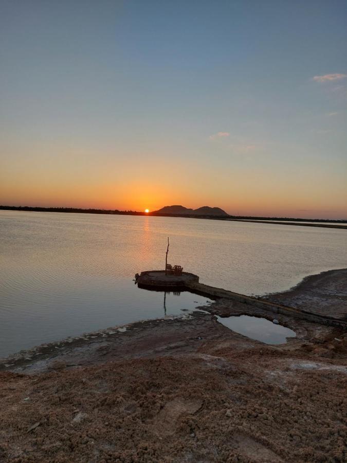 Forest Camp Siwa - كامب الغابة Siwa Oasis Luaran gambar