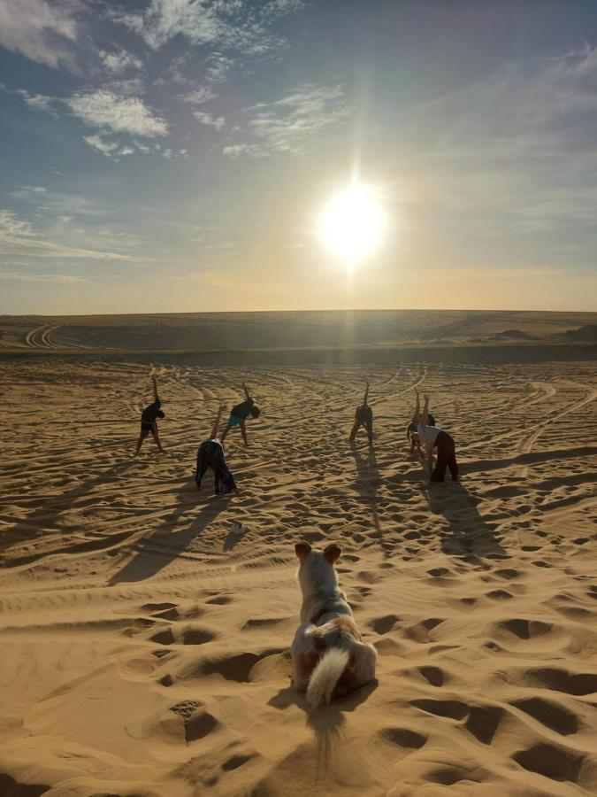 Forest Camp Siwa - كامب الغابة Siwa Oasis Luaran gambar