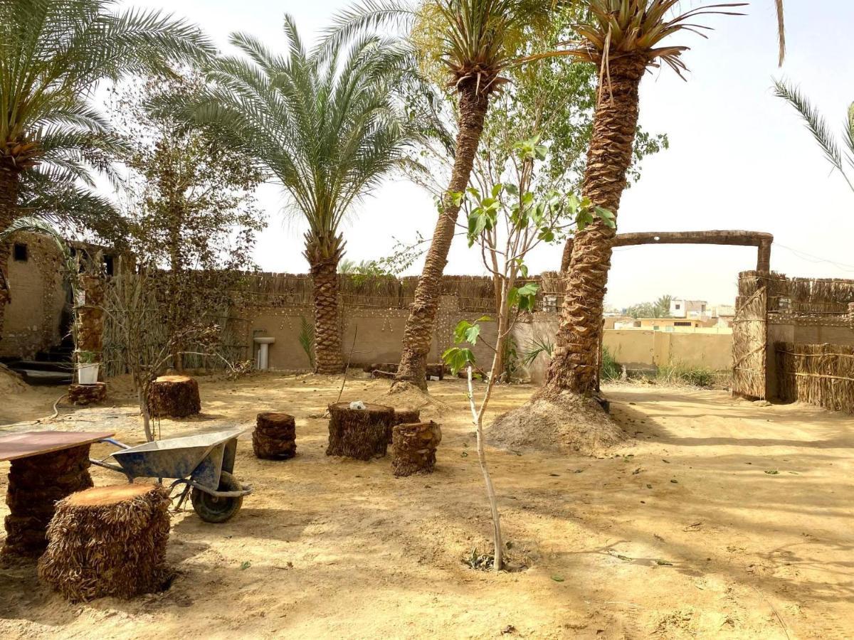 Forest Camp Siwa - كامب الغابة Siwa Oasis Luaran gambar