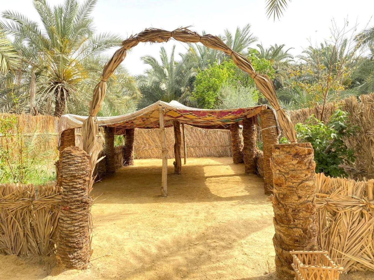 Forest Camp Siwa - كامب الغابة Siwa Oasis Luaran gambar