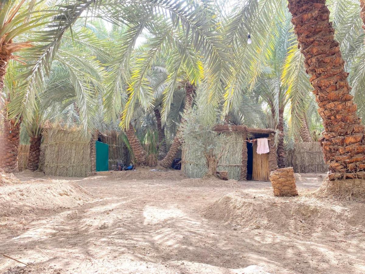 Forest Camp Siwa - كامب الغابة Siwa Oasis Luaran gambar