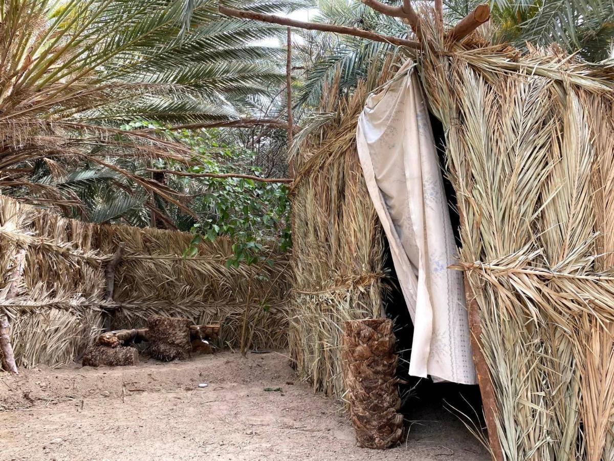 Forest Camp Siwa - كامب الغابة Siwa Oasis Luaran gambar