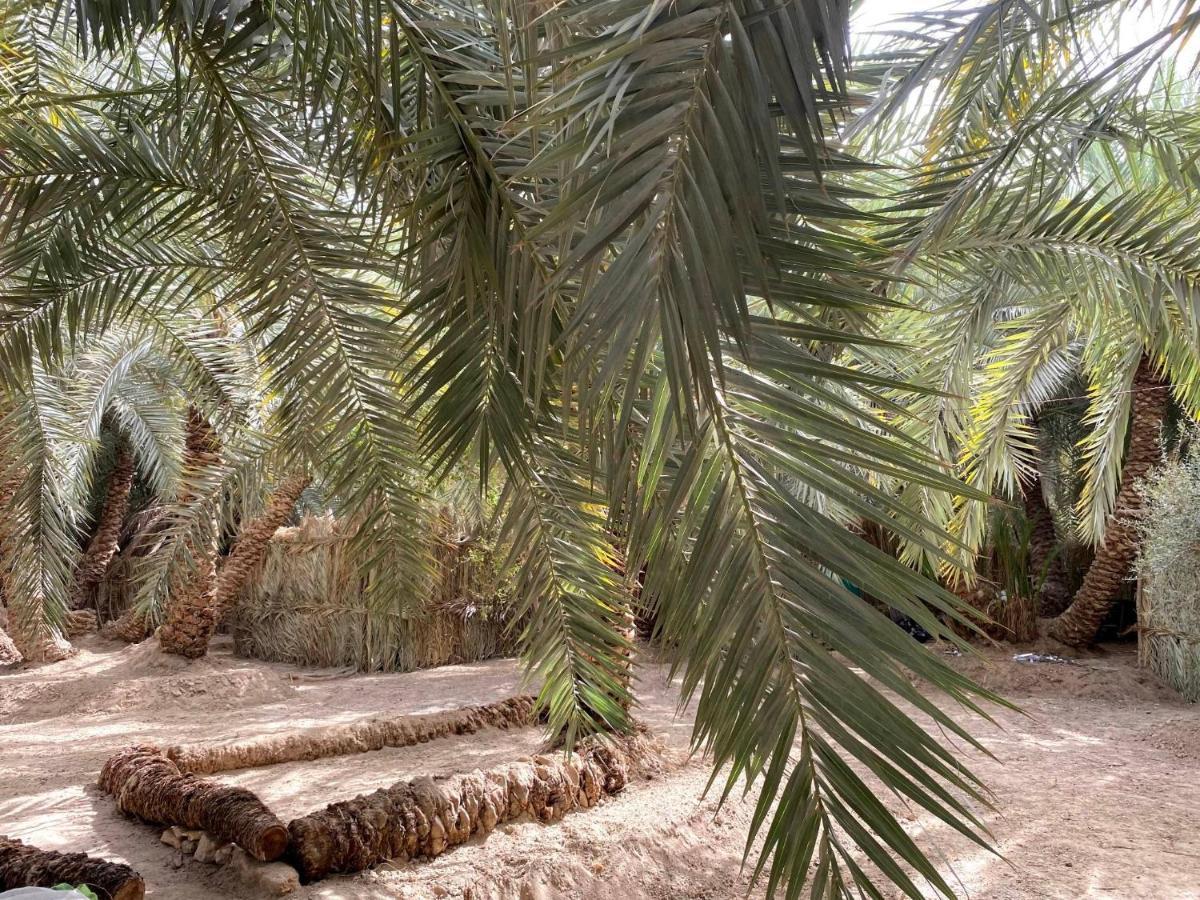 Forest Camp Siwa - كامب الغابة Siwa Oasis Luaran gambar