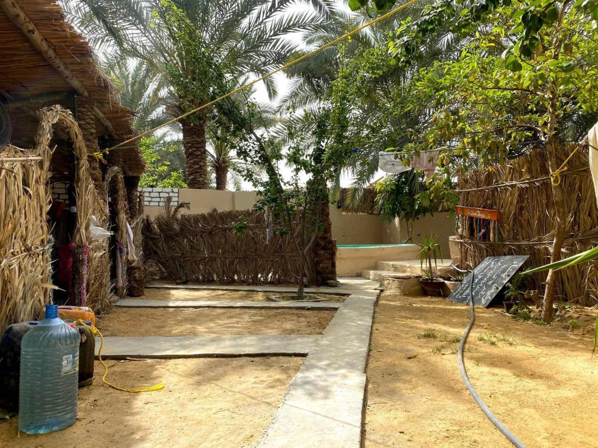 Forest Camp Siwa - كامب الغابة Siwa Oasis Luaran gambar