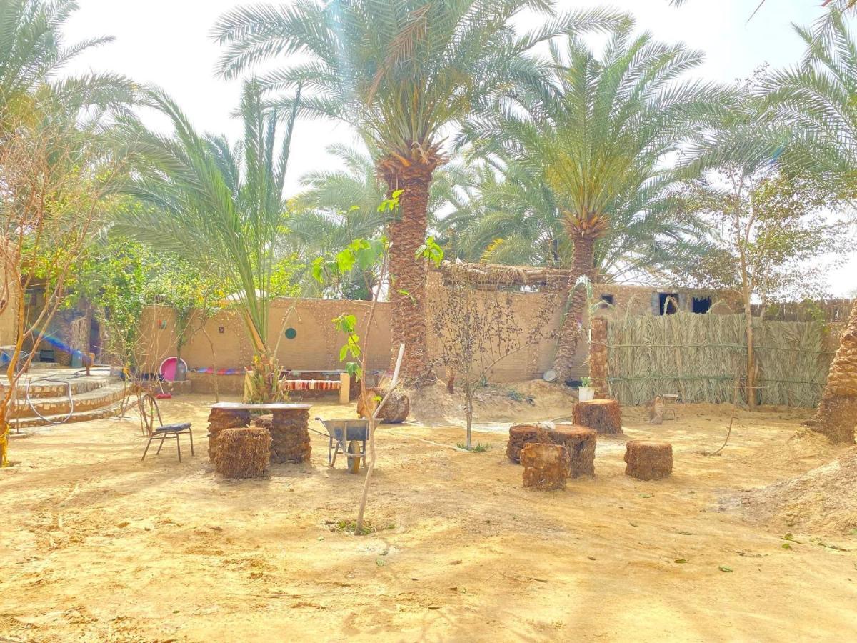 Forest Camp Siwa - كامب الغابة Siwa Oasis Luaran gambar