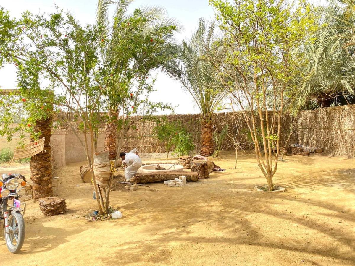 Forest Camp Siwa - كامب الغابة Siwa Oasis Luaran gambar