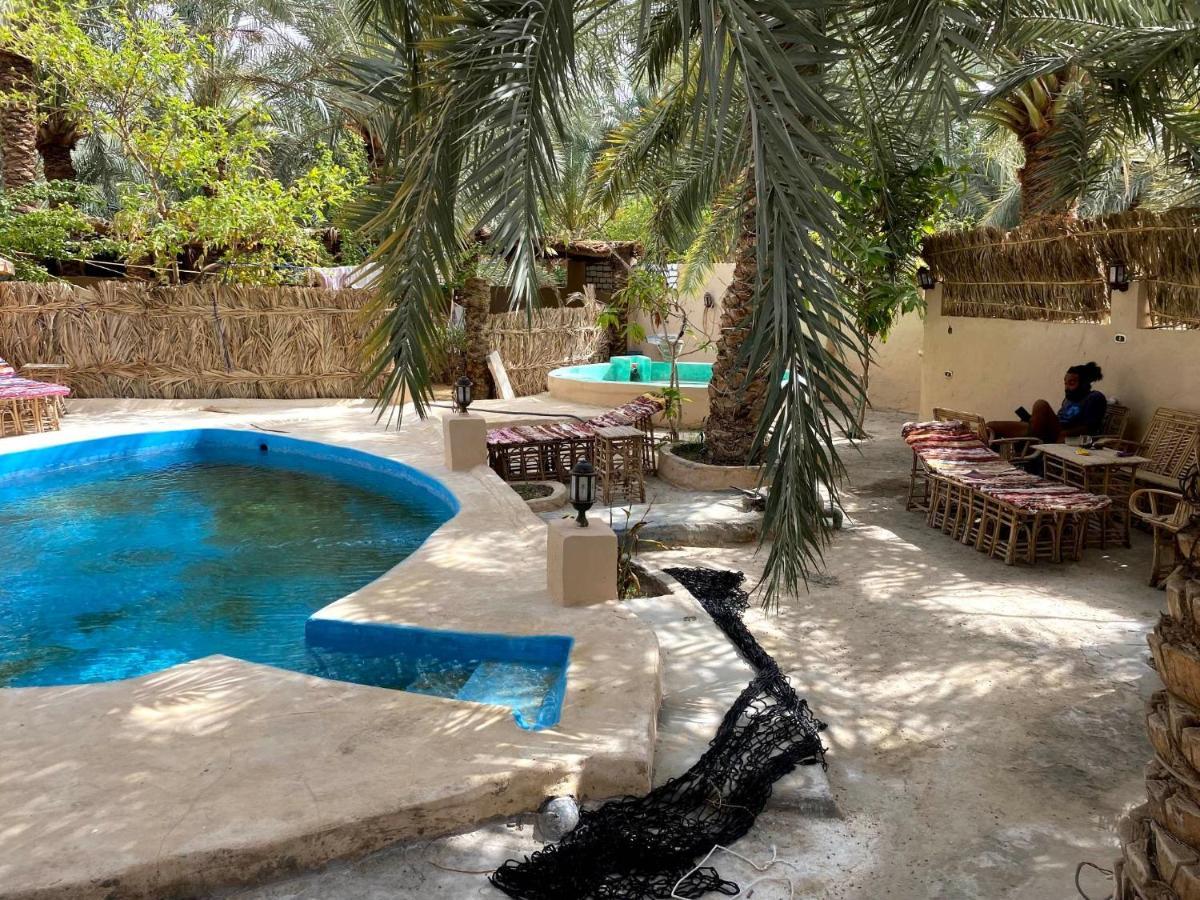 Forest Camp Siwa - كامب الغابة Siwa Oasis Luaran gambar