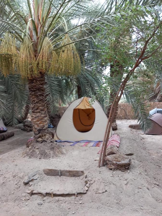 Forest Camp Siwa - كامب الغابة Siwa Oasis Luaran gambar