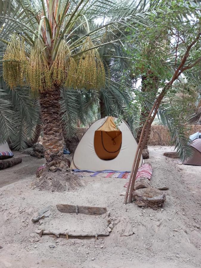 Forest Camp Siwa - كامب الغابة Siwa Oasis Luaran gambar