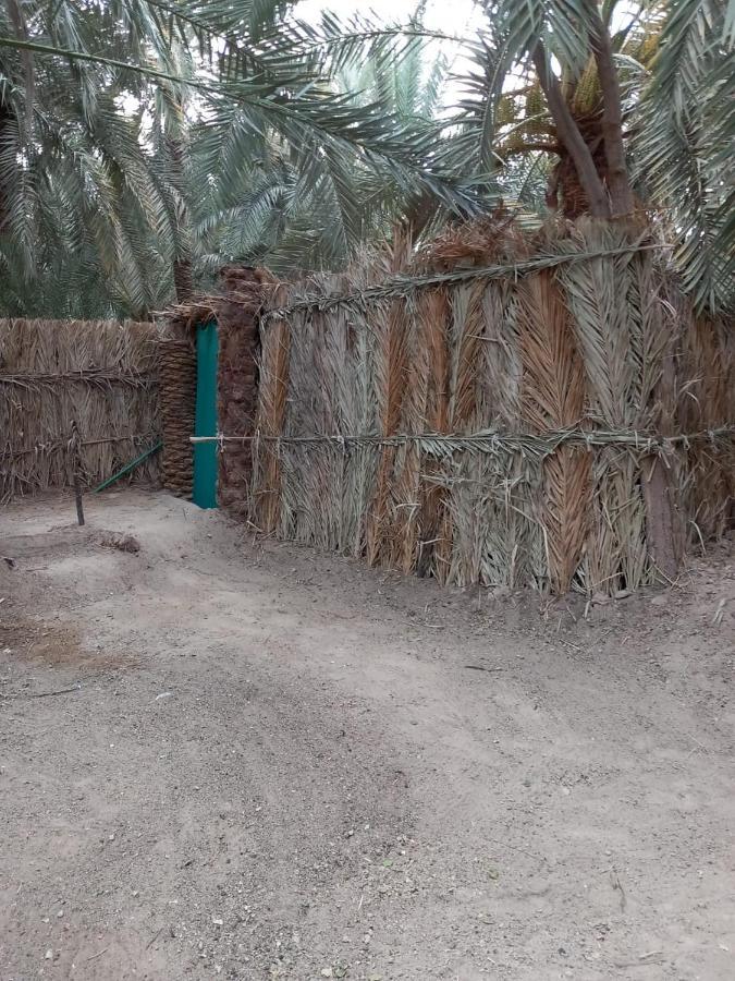 Forest Camp Siwa - كامب الغابة Siwa Oasis Luaran gambar