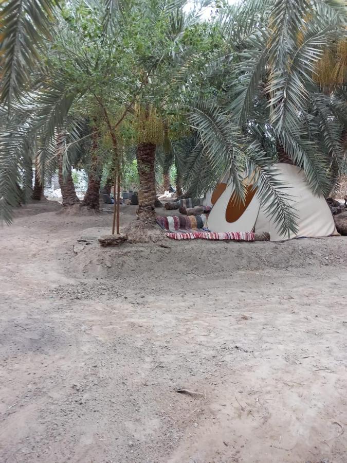 Forest Camp Siwa - كامب الغابة Siwa Oasis Luaran gambar