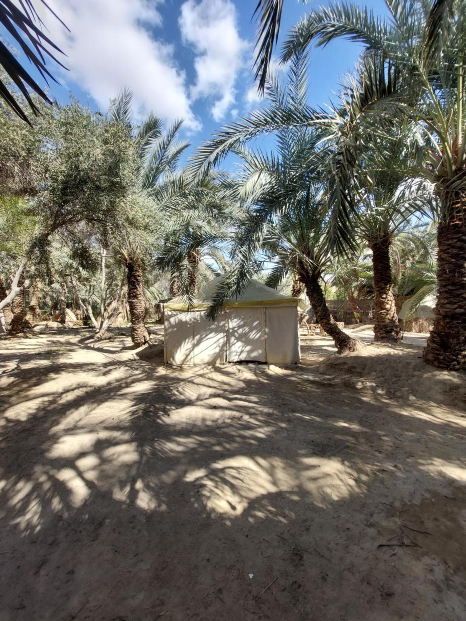 Forest Camp Siwa - كامب الغابة Siwa Oasis Luaran gambar