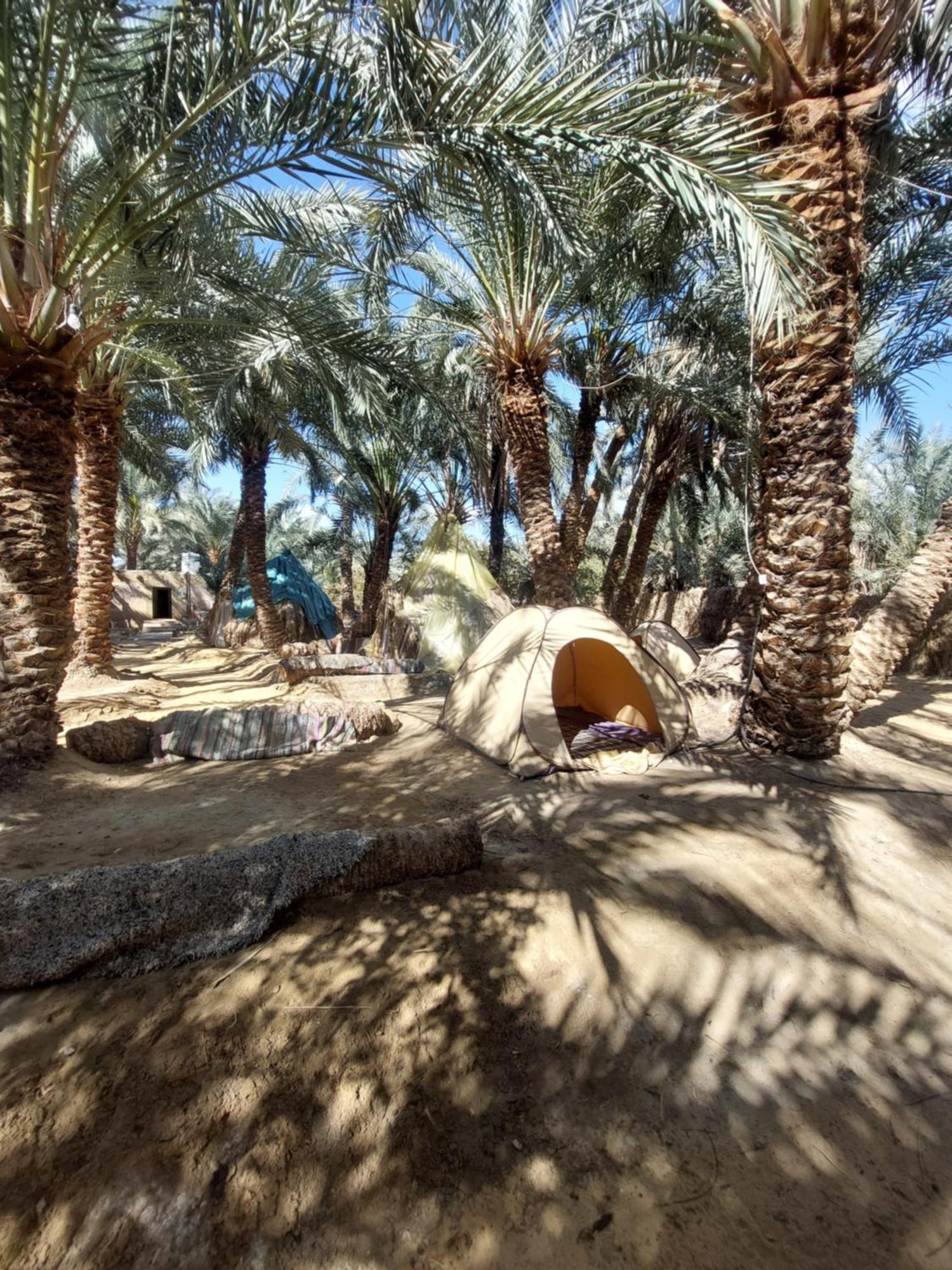 Forest Camp Siwa - كامب الغابة Siwa Oasis Luaran gambar