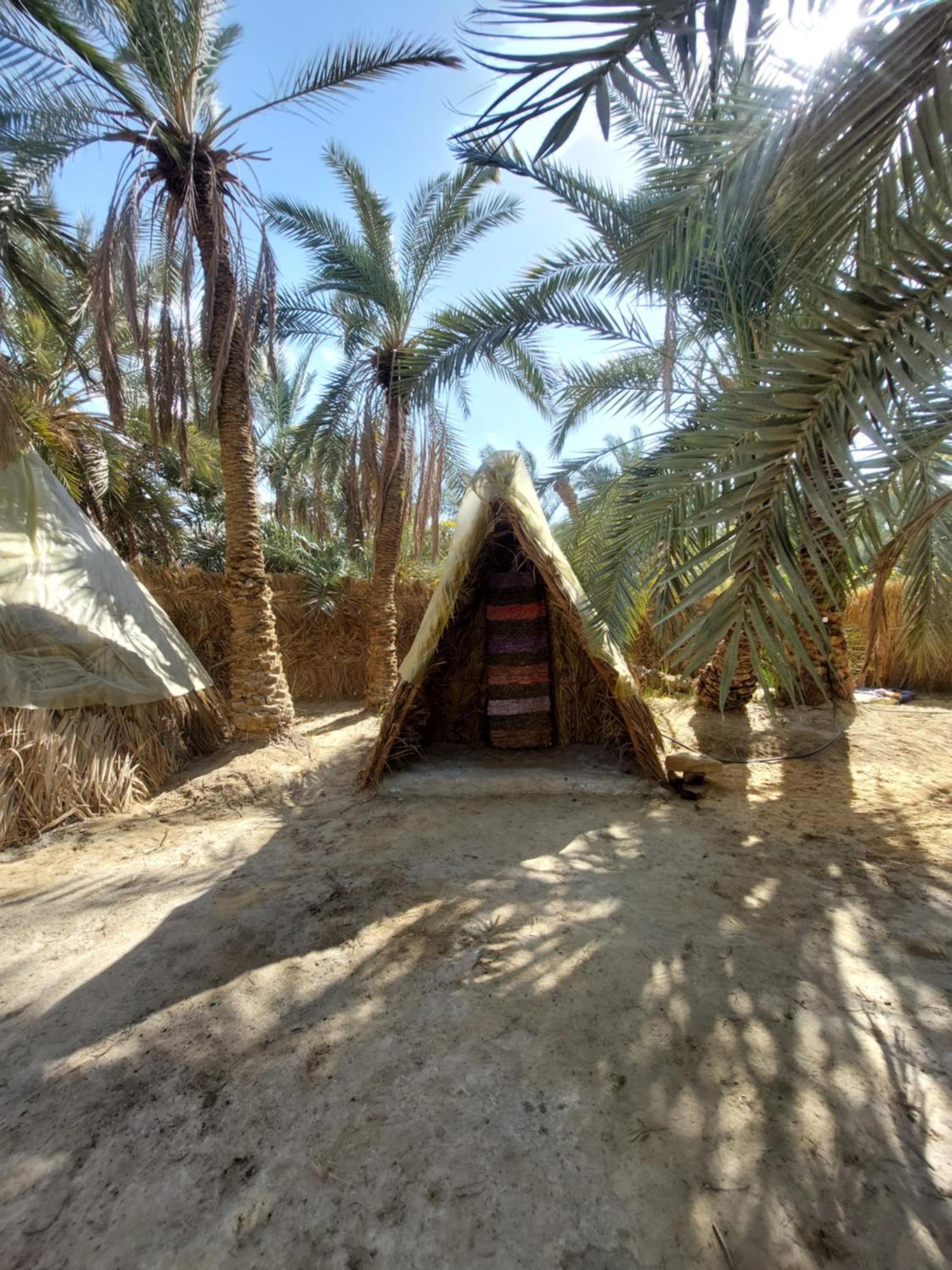 Forest Camp Siwa - كامب الغابة Siwa Oasis Luaran gambar