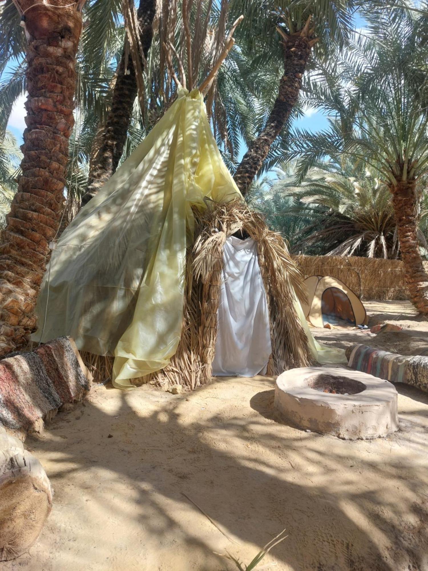 Forest Camp Siwa - كامب الغابة Siwa Oasis Luaran gambar