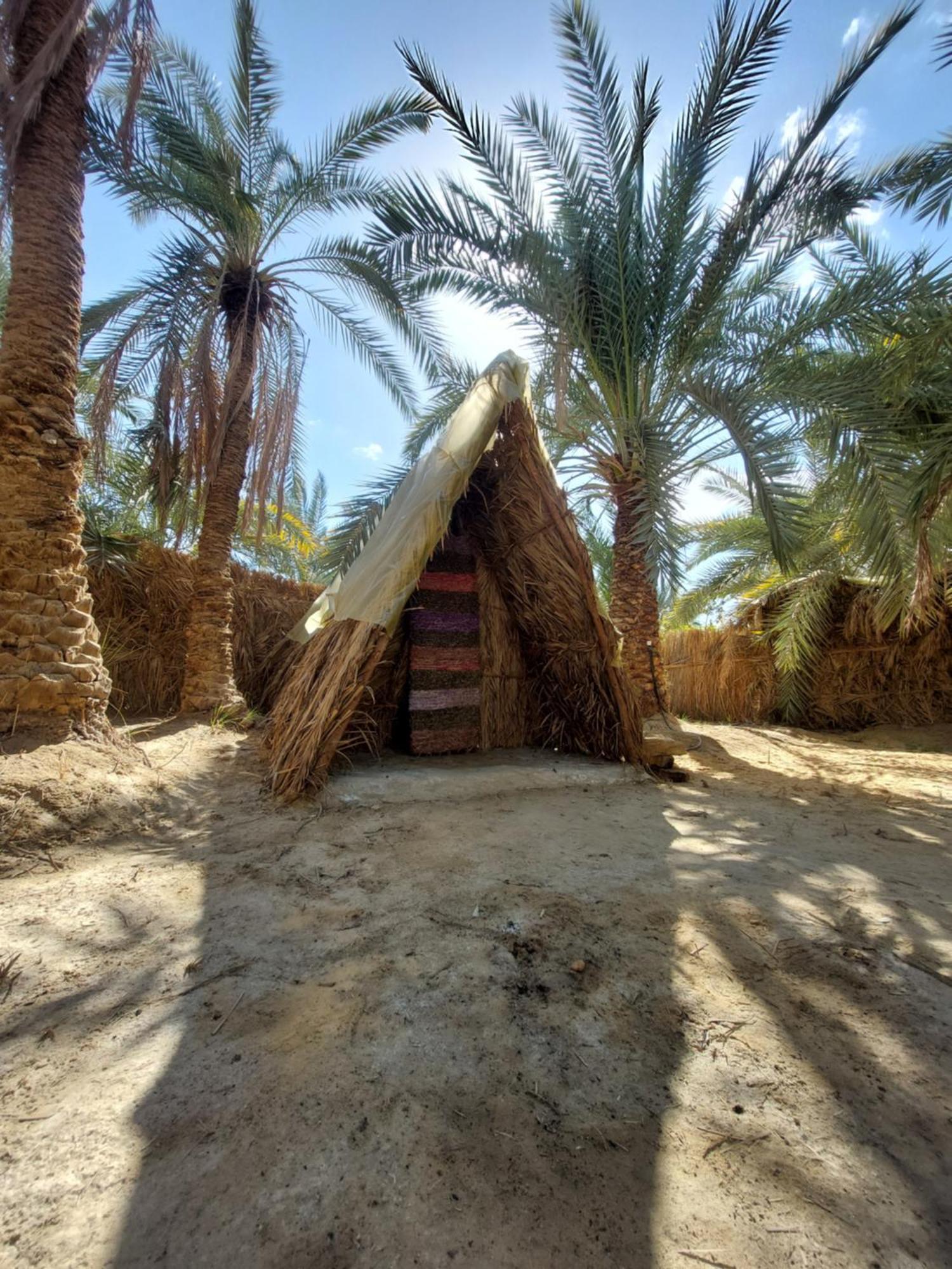 Forest Camp Siwa - كامب الغابة Siwa Oasis Luaran gambar