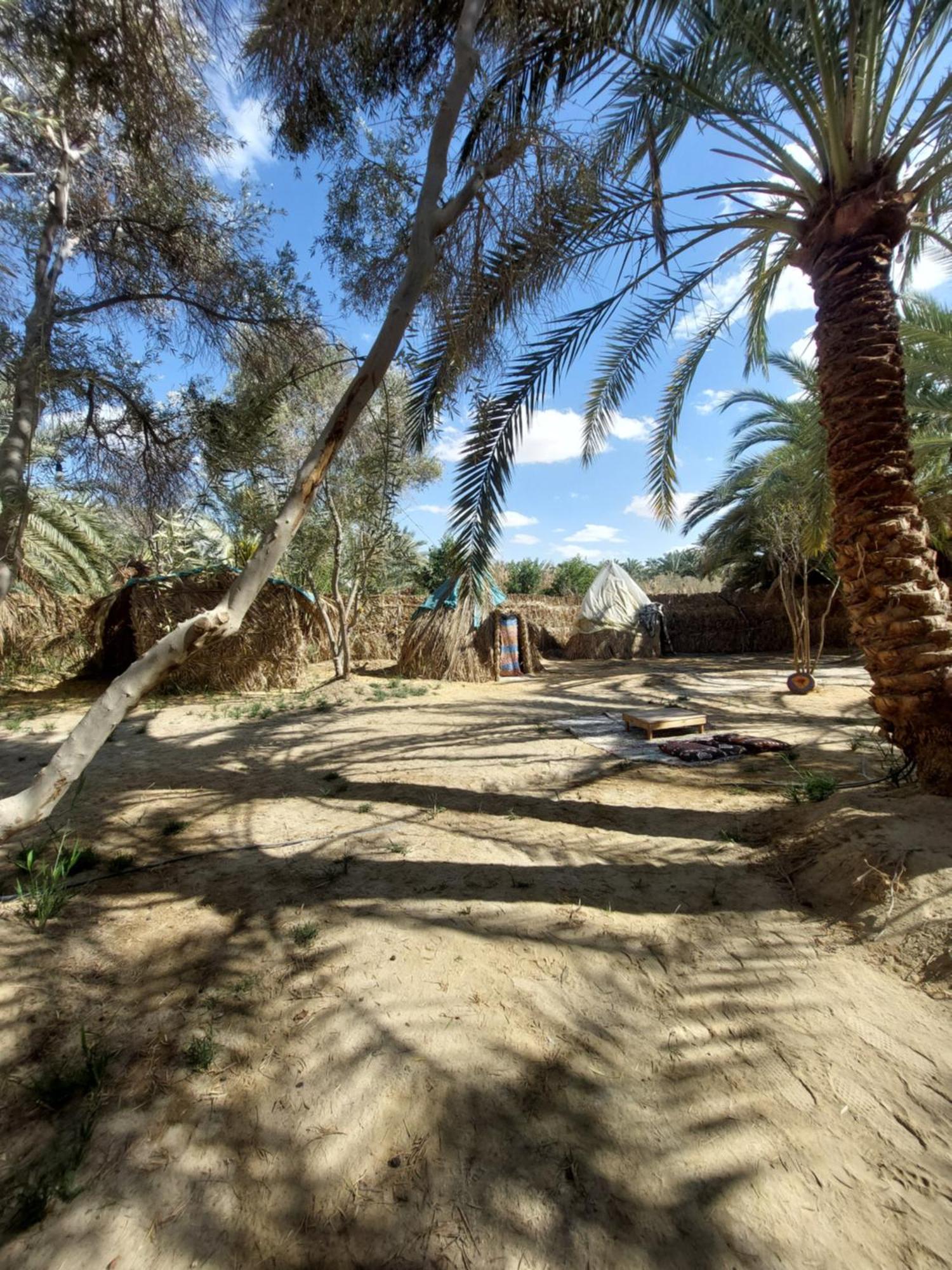 Forest Camp Siwa - كامب الغابة Siwa Oasis Luaran gambar