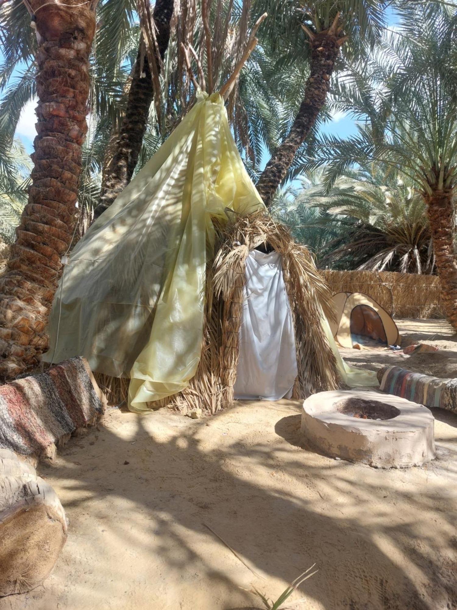 Forest Camp Siwa - كامب الغابة Siwa Oasis Luaran gambar