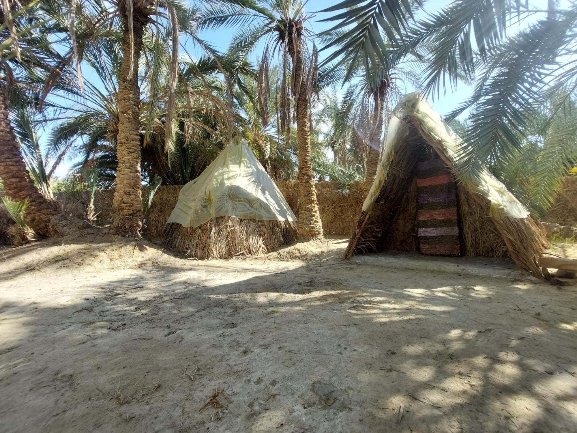 Forest Camp Siwa - كامب الغابة Siwa Oasis Luaran gambar