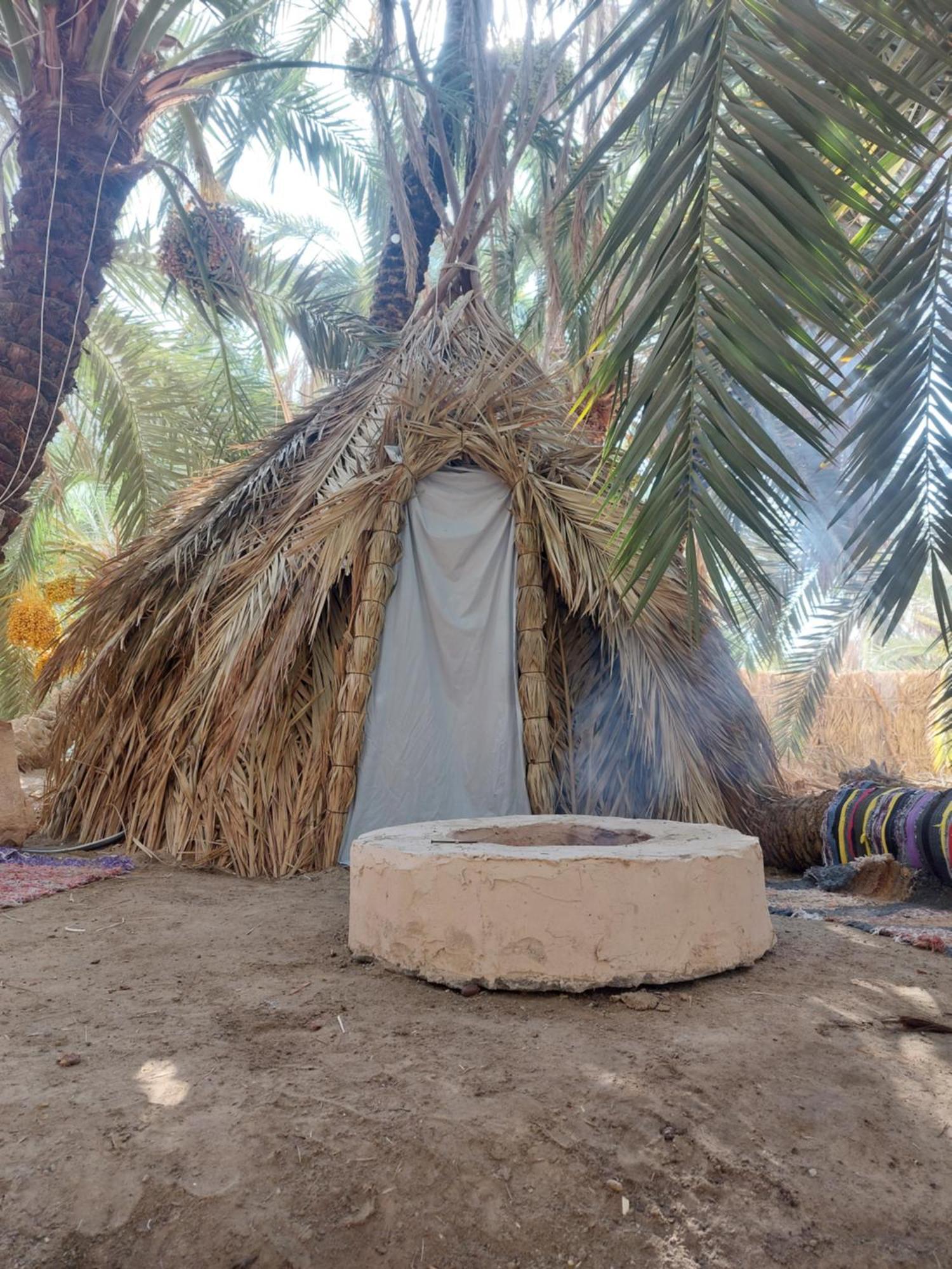 Forest Camp Siwa - كامب الغابة Siwa Oasis Luaran gambar