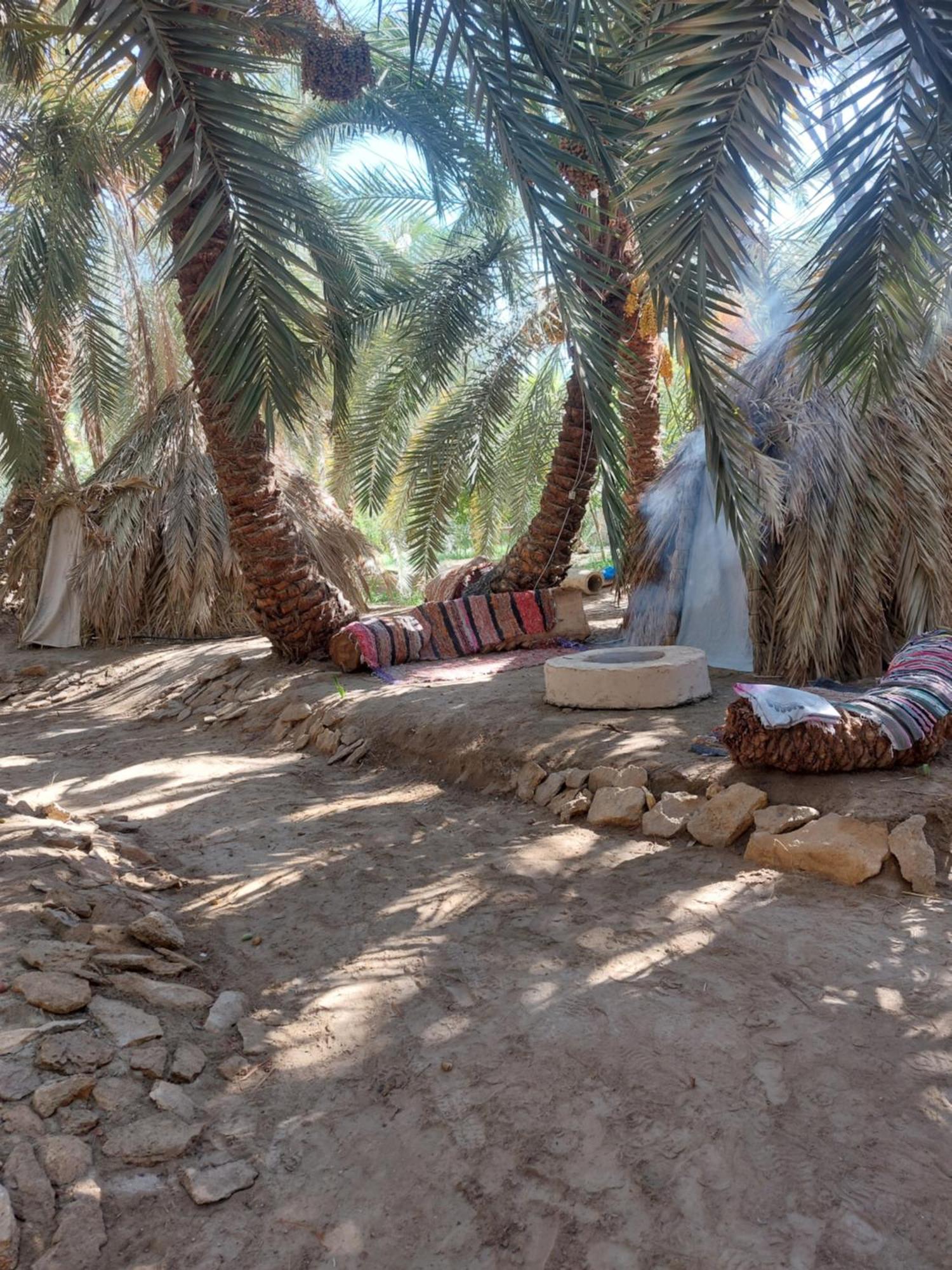 Forest Camp Siwa - كامب الغابة Siwa Oasis Luaran gambar