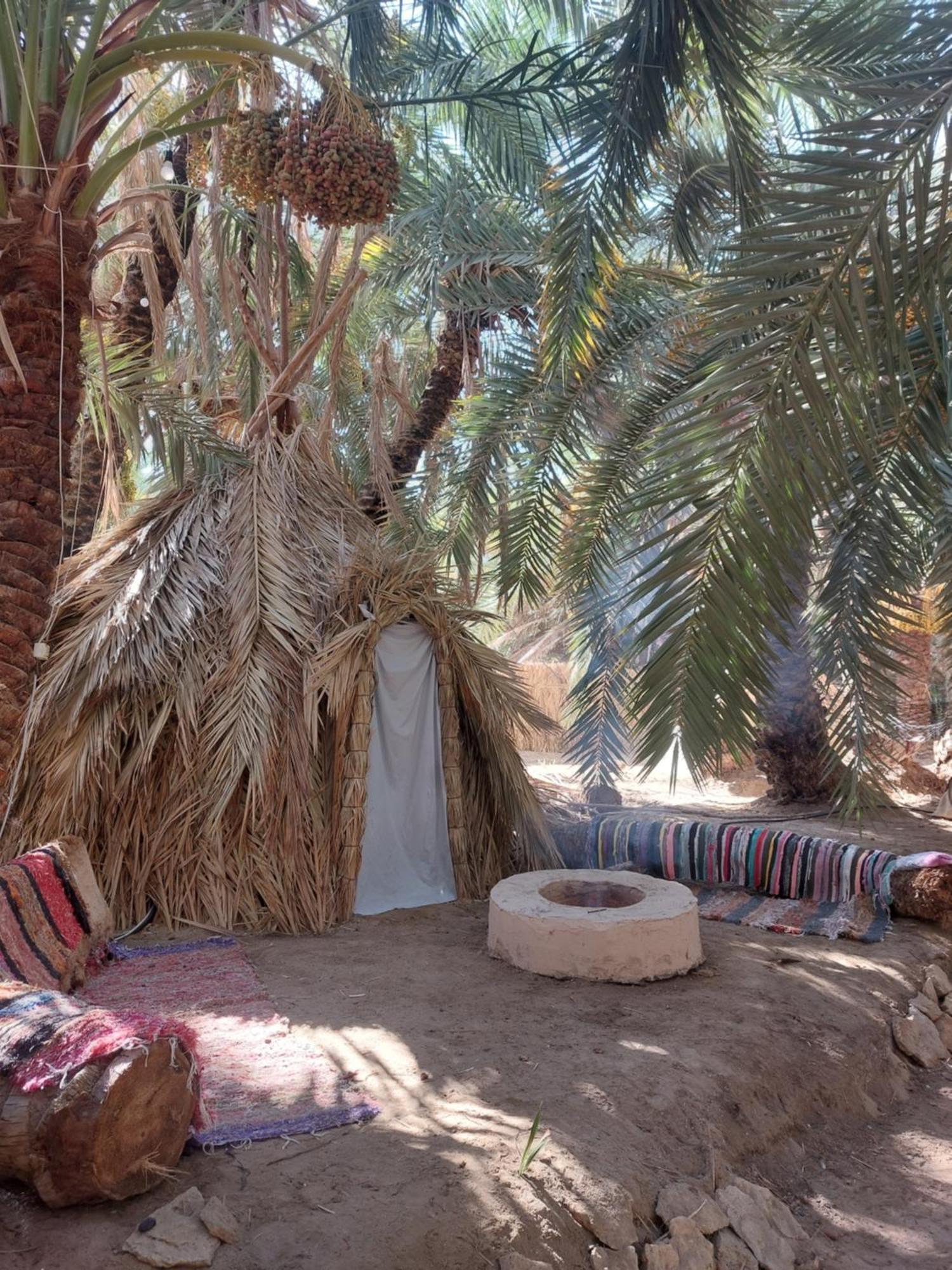 Forest Camp Siwa - كامب الغابة Siwa Oasis Luaran gambar