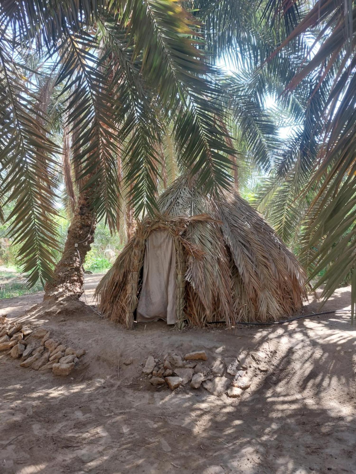 Forest Camp Siwa - كامب الغابة Siwa Oasis Luaran gambar