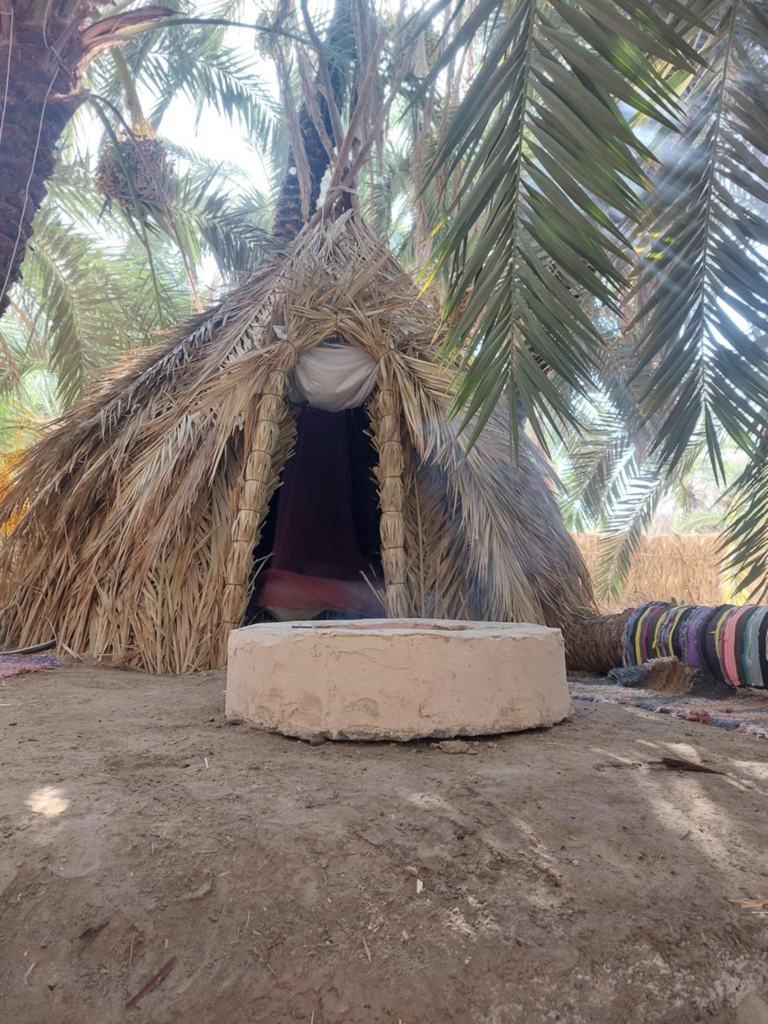 Forest Camp Siwa - كامب الغابة Siwa Oasis Luaran gambar