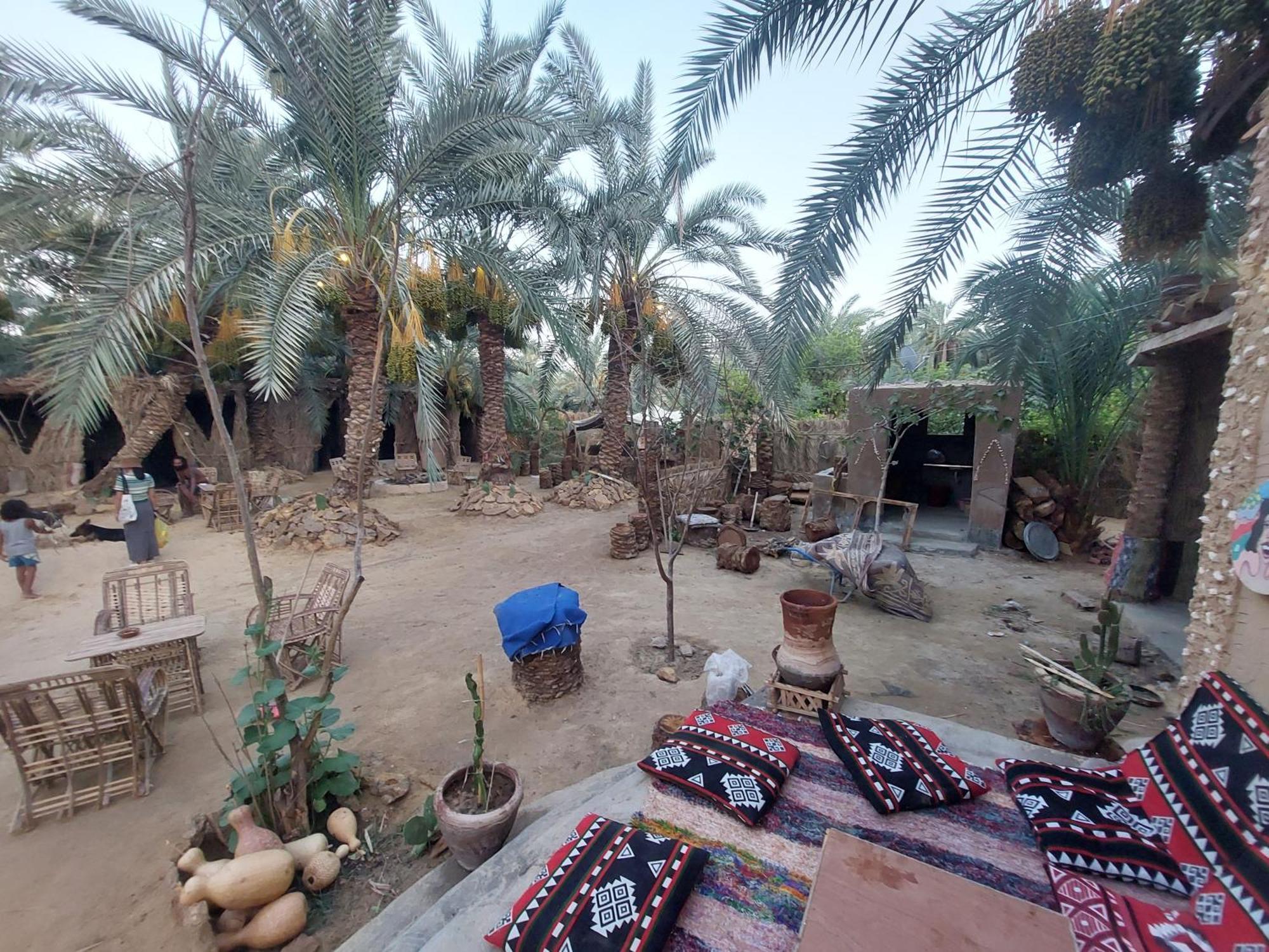 Forest Camp Siwa - كامب الغابة Siwa Oasis Luaran gambar