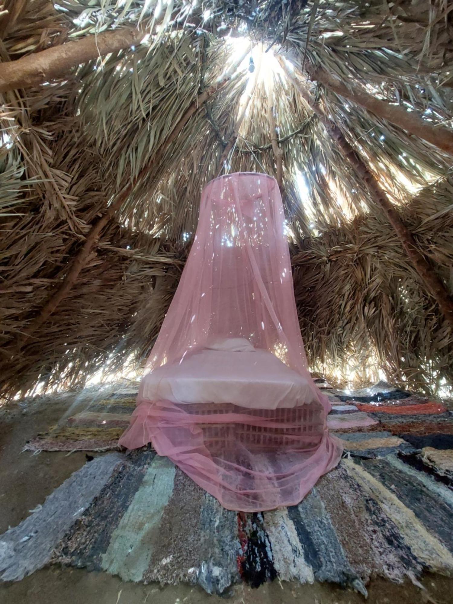 Forest Camp Siwa - كامب الغابة Siwa Oasis Luaran gambar