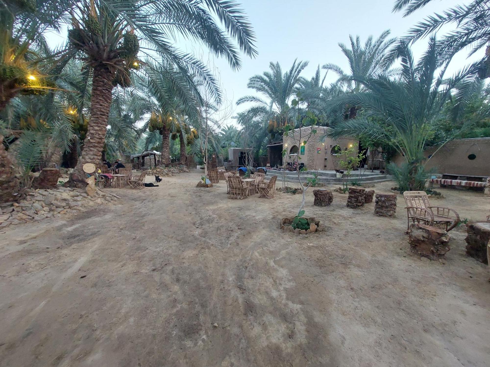 Forest Camp Siwa - كامب الغابة Siwa Oasis Luaran gambar