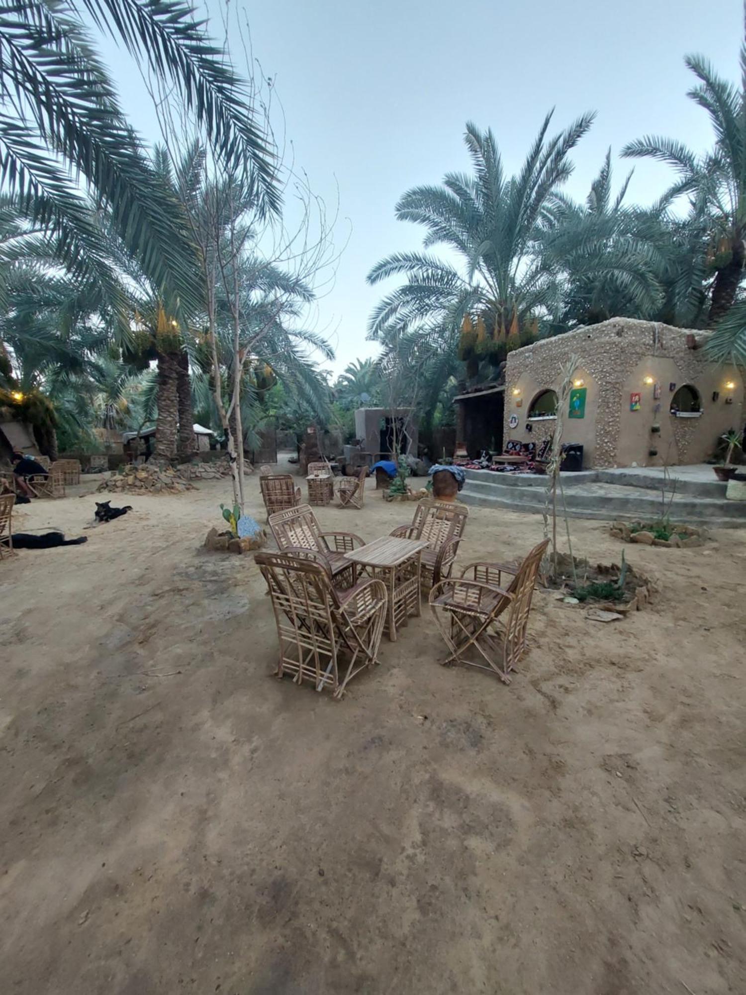 Forest Camp Siwa - كامب الغابة Siwa Oasis Luaran gambar