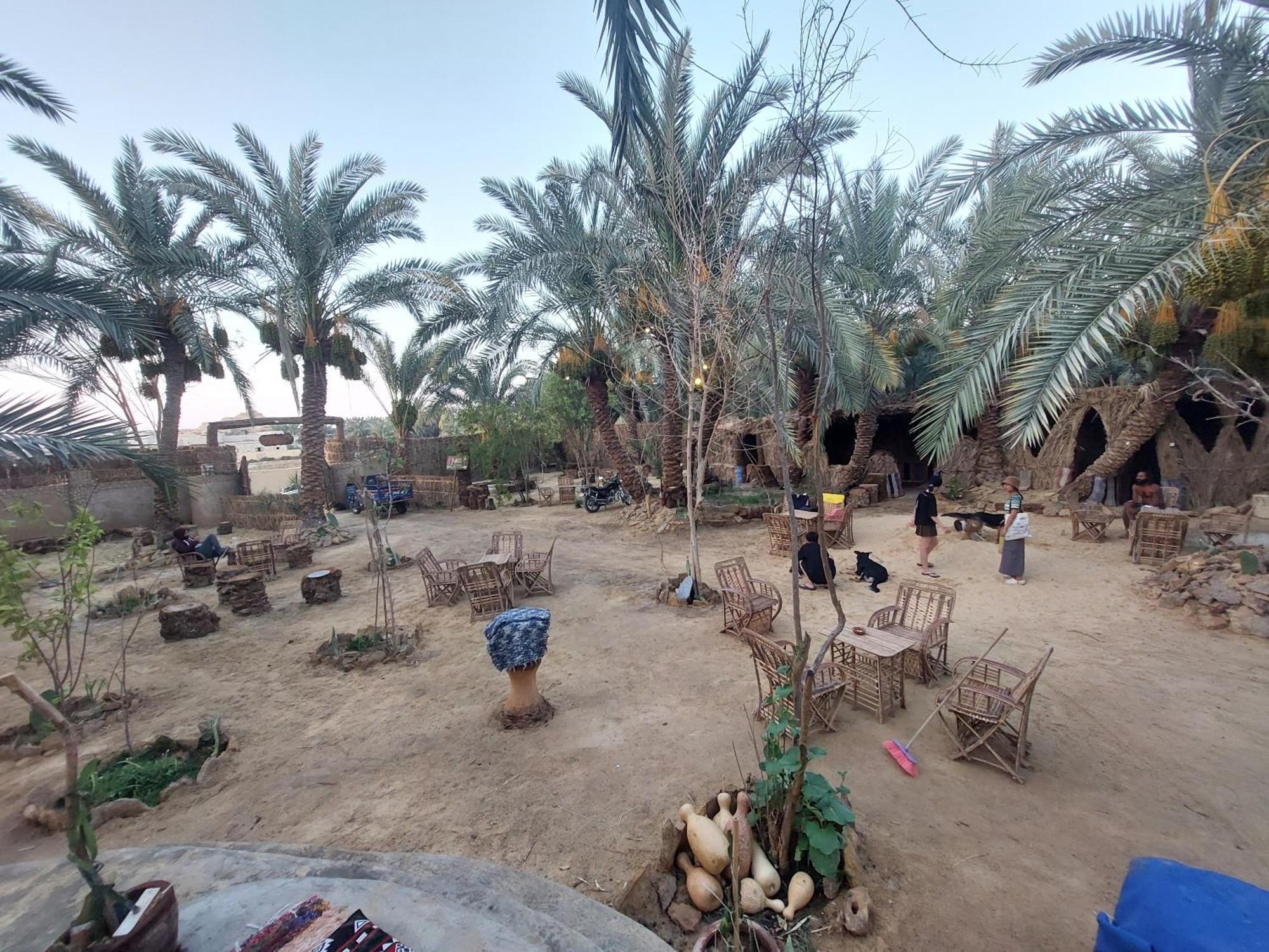 Forest Camp Siwa - كامب الغابة Siwa Oasis Luaran gambar