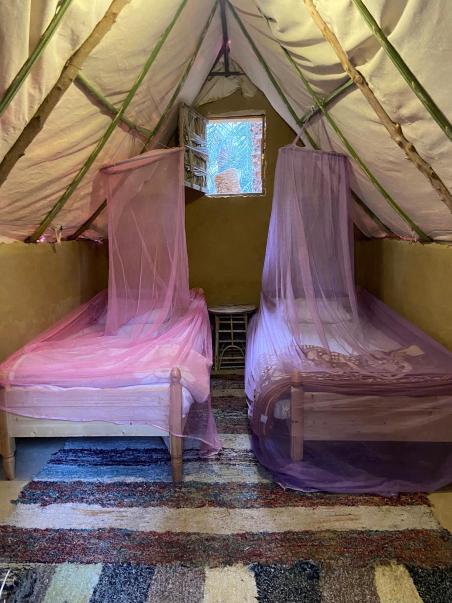 Forest Camp Siwa - كامب الغابة Siwa Oasis Luaran gambar