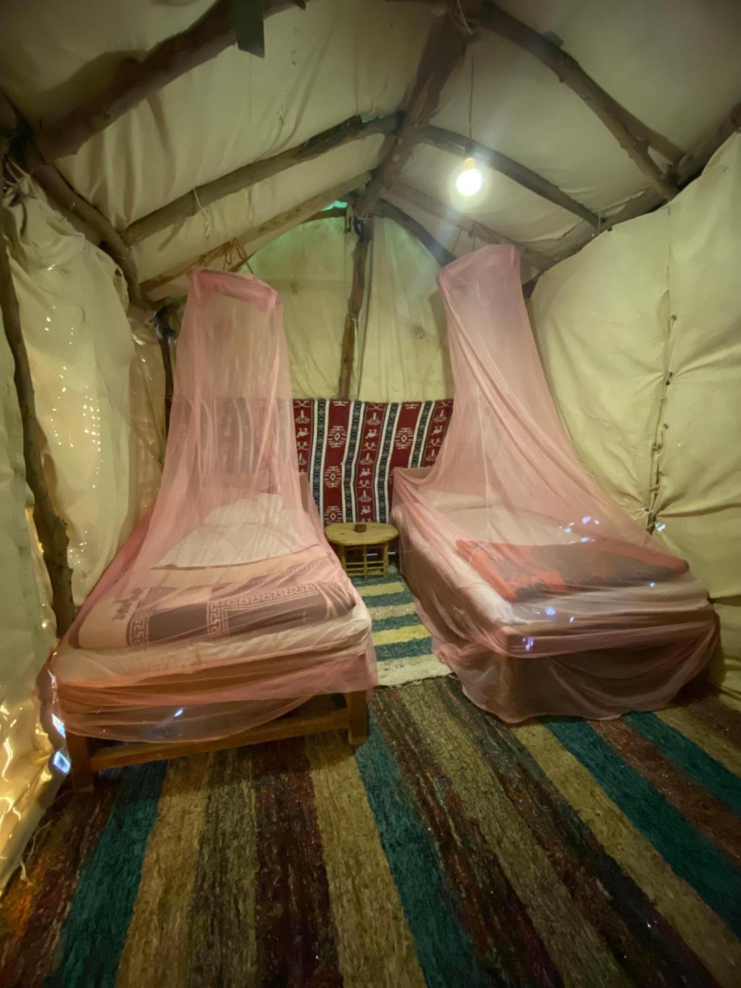 Forest Camp Siwa - كامب الغابة Siwa Oasis Luaran gambar
